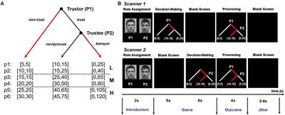 Neural Signatures of Gender Differences in Interpersonal Trust